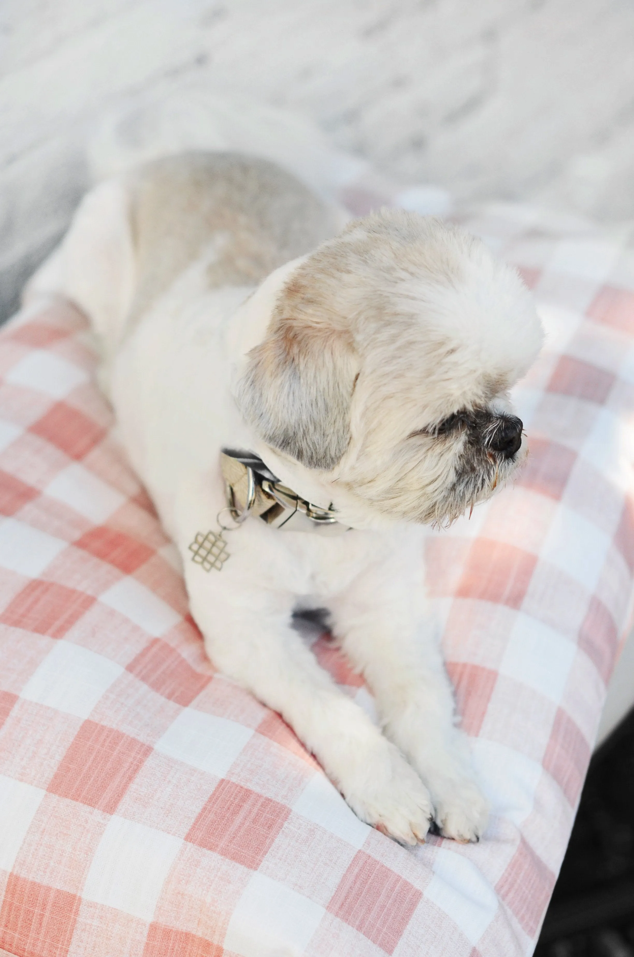 Blush Pink Gingham Check Dog Bed