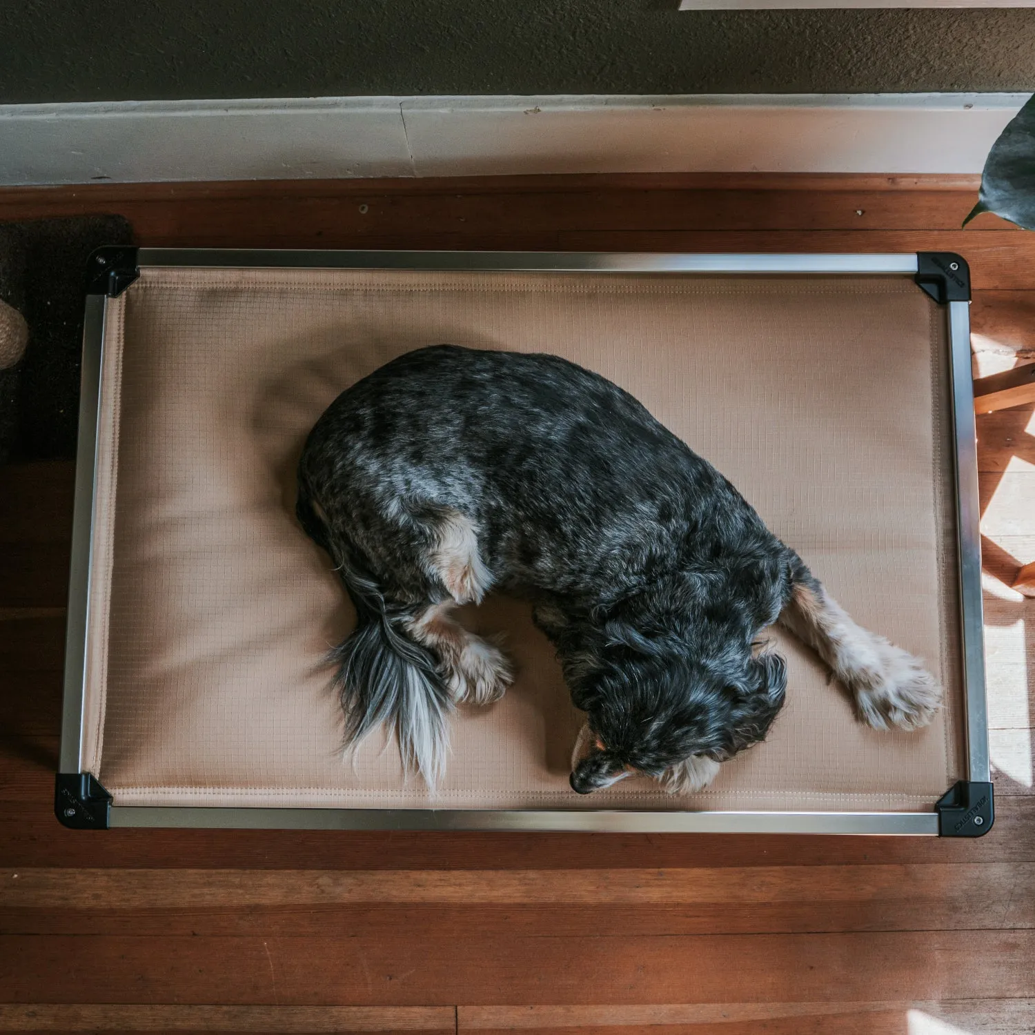 Chew Proof Armored™ Padded Elevated Dog Crate Bed