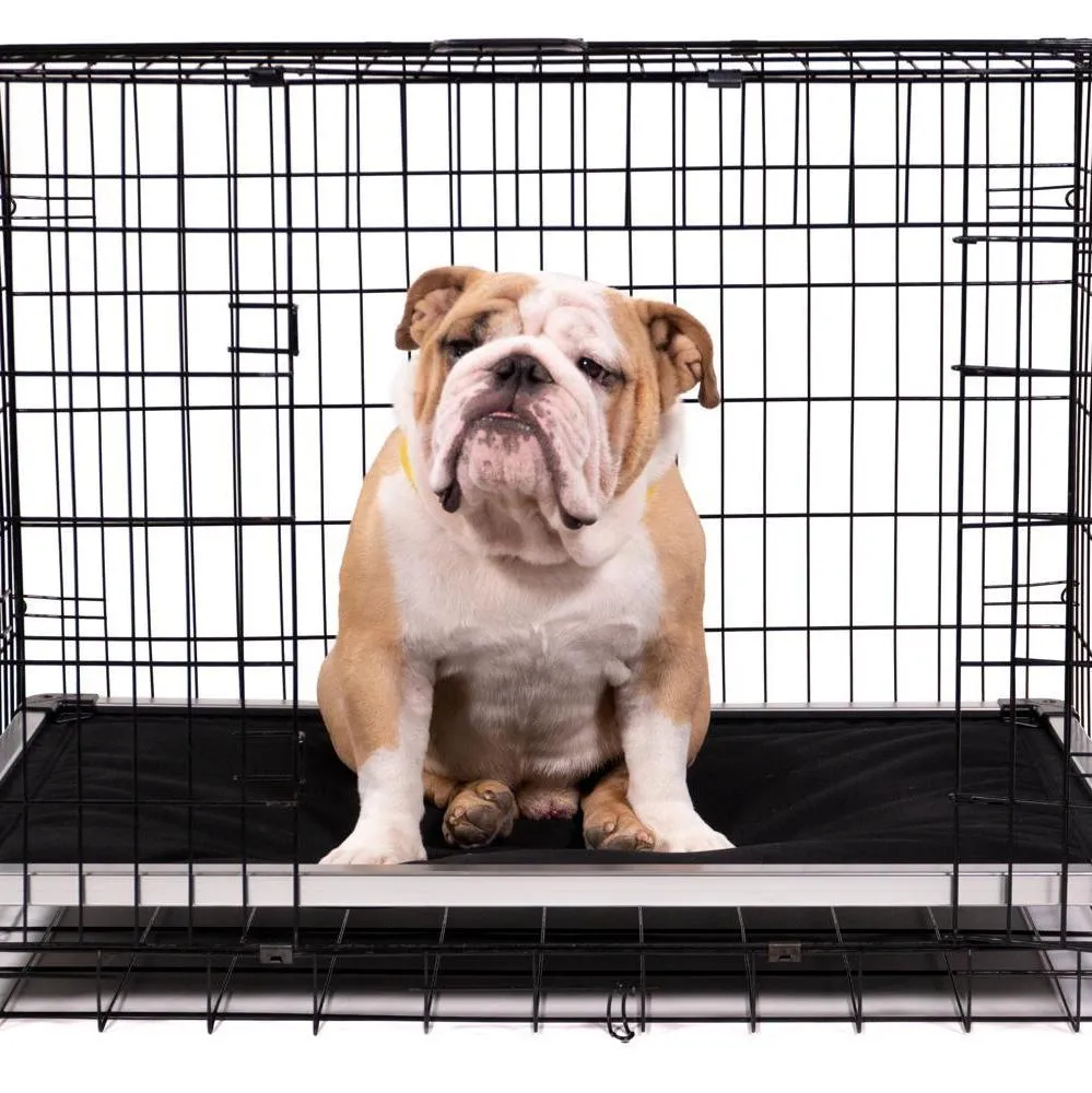 Chew Proof Armored™ Padded Elevated Dog Crate Bed