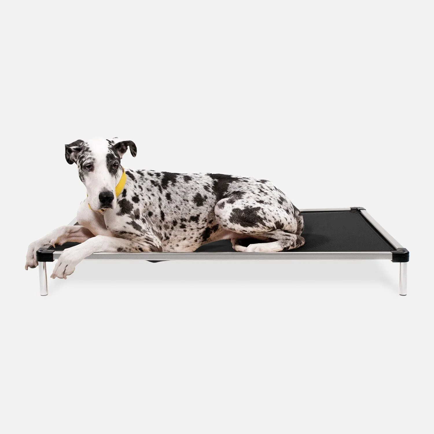 Chew Proof Armored™ Ripstop Elevated Dog Bed