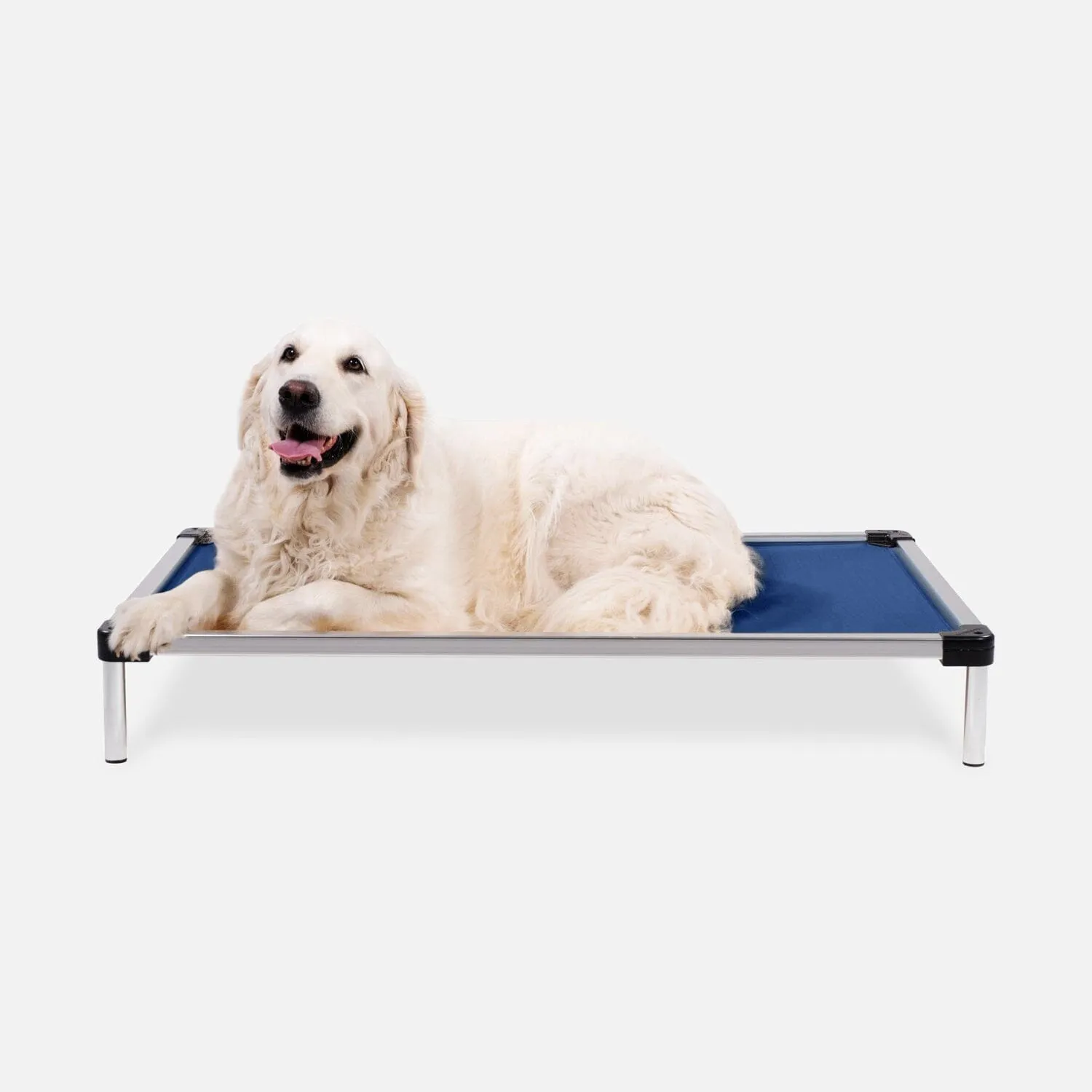 Chew Proof Armored™ Ripstop Elevated Dog Bed