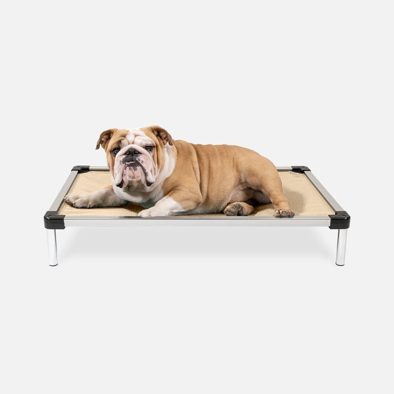 Chew Proof Armored™ Ripstop Elevated Dog Bed