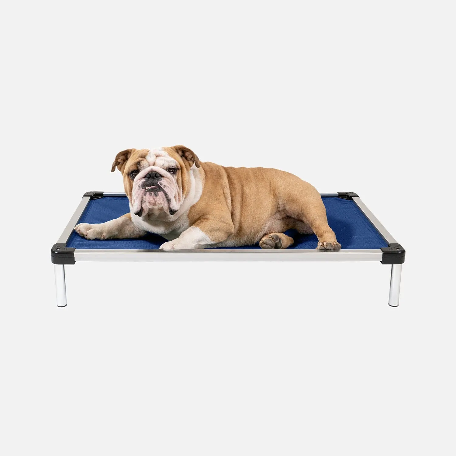 Chew Proof Armored™ Ripstop Elevated Dog Bed