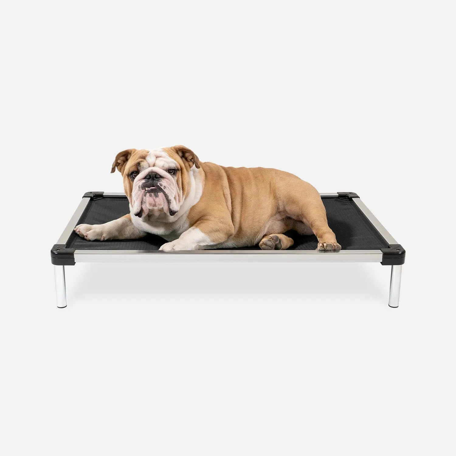 Chew Proof Armored™ Ripstop Elevated Dog Bed