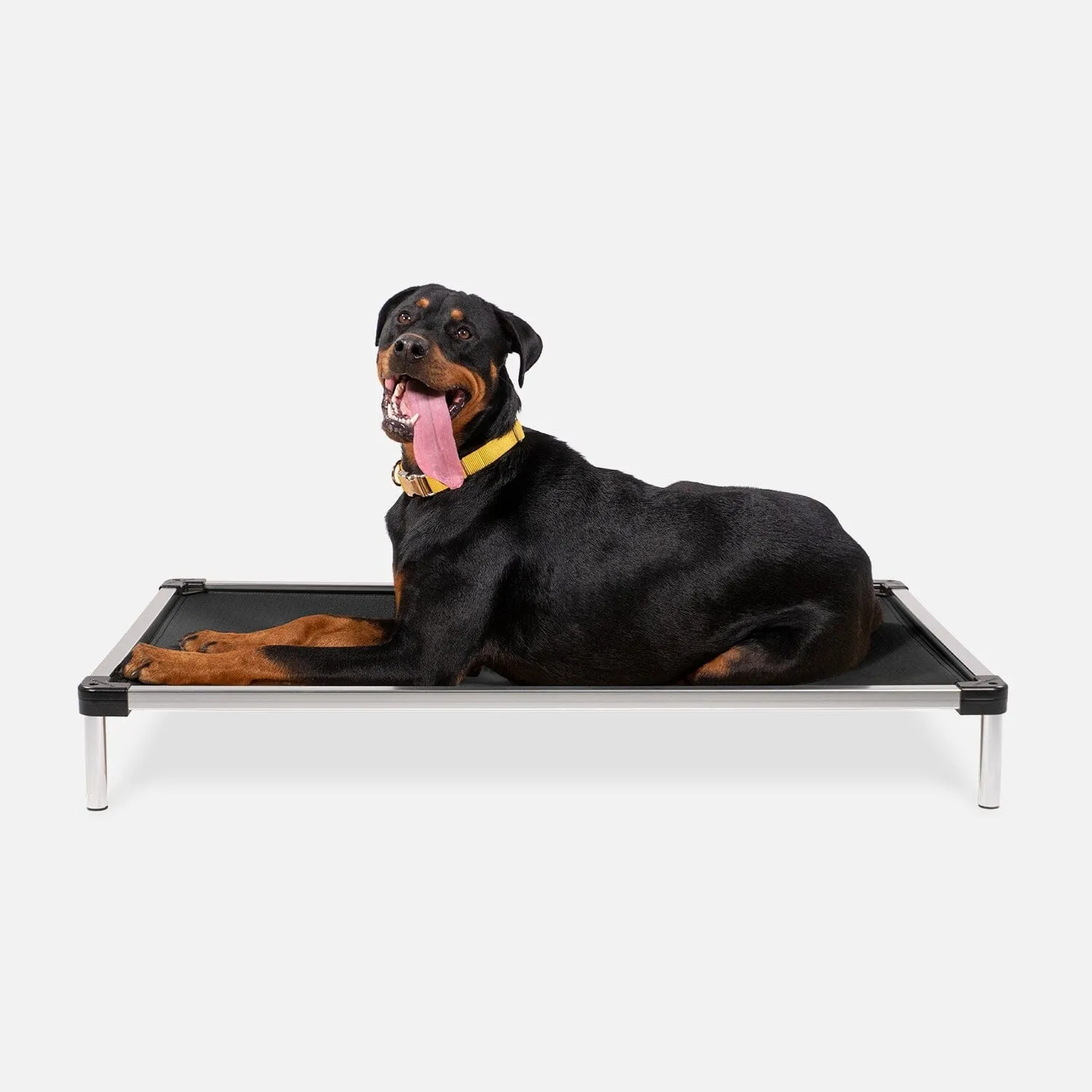 Chew Proof Armored™ Ripstop Elevated Dog Bed