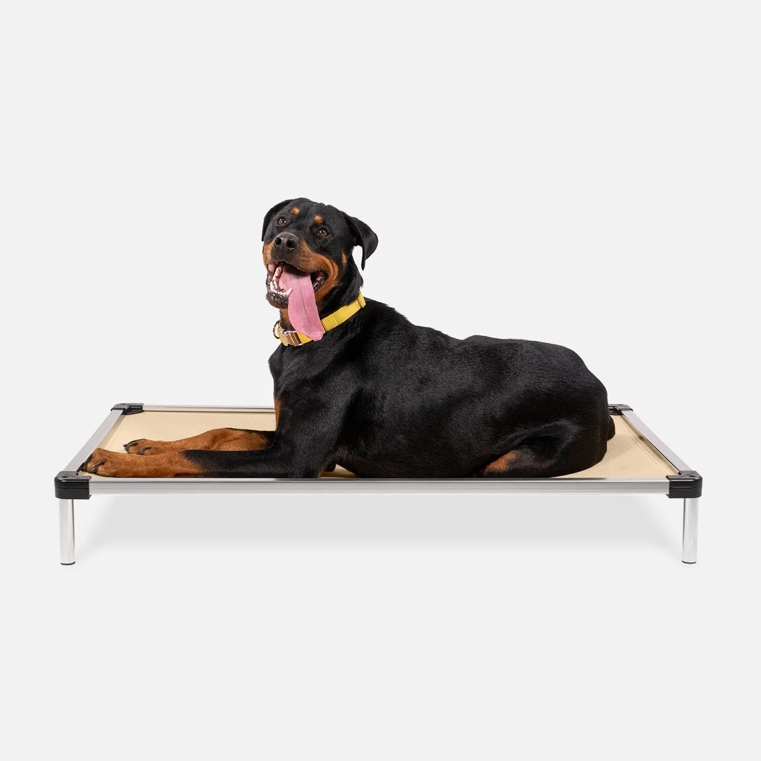 Chew Proof Armored™ Ripstop Elevated Dog Bed