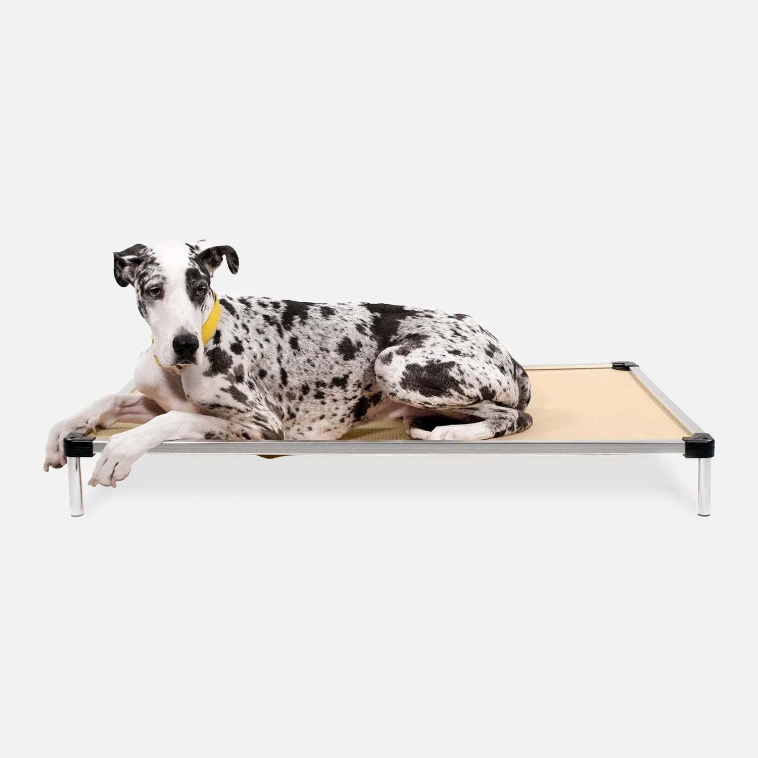 Chew Proof Armored™ Ripstop Elevated Dog Bed