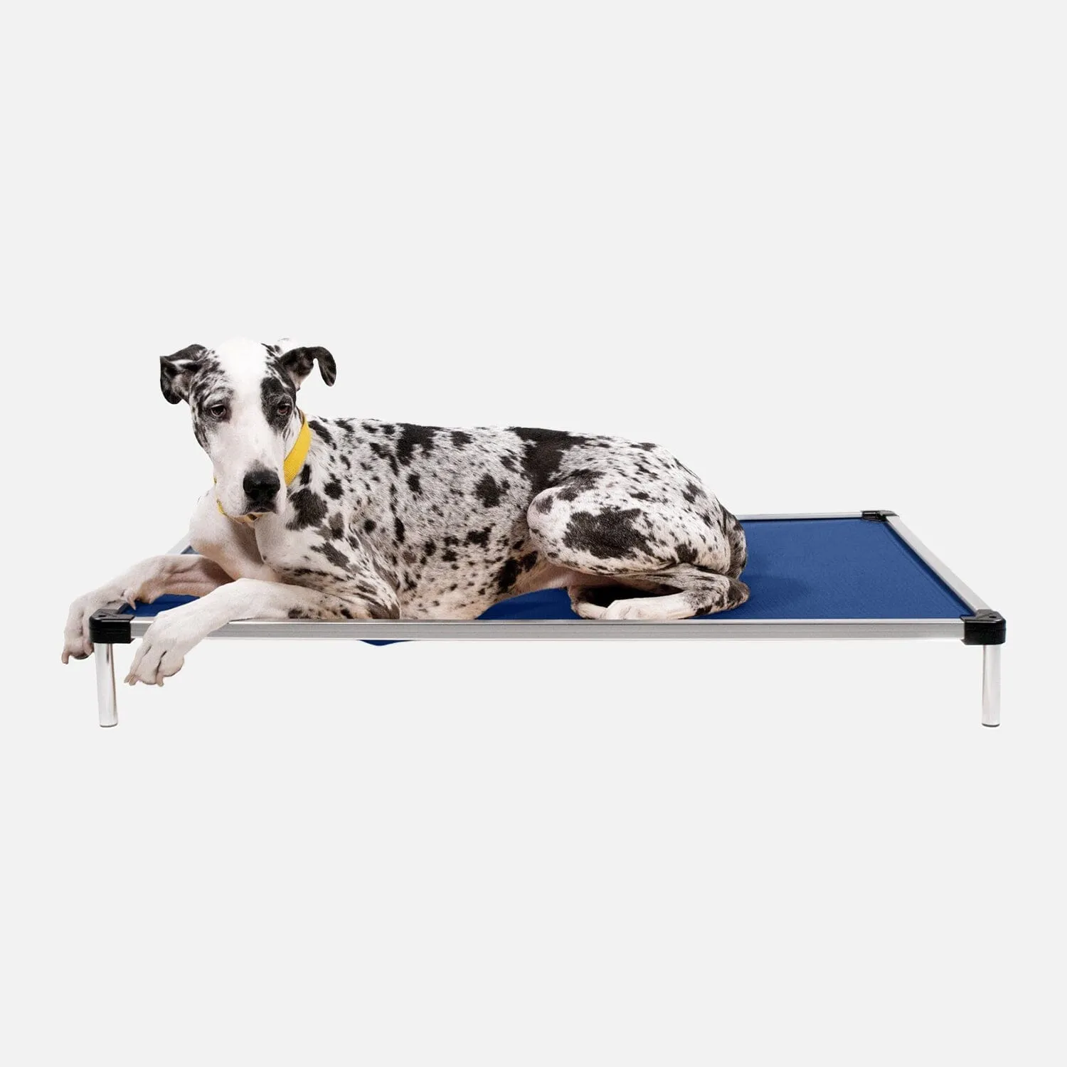 Chew Proof Armored™ Ripstop Elevated Dog Bed