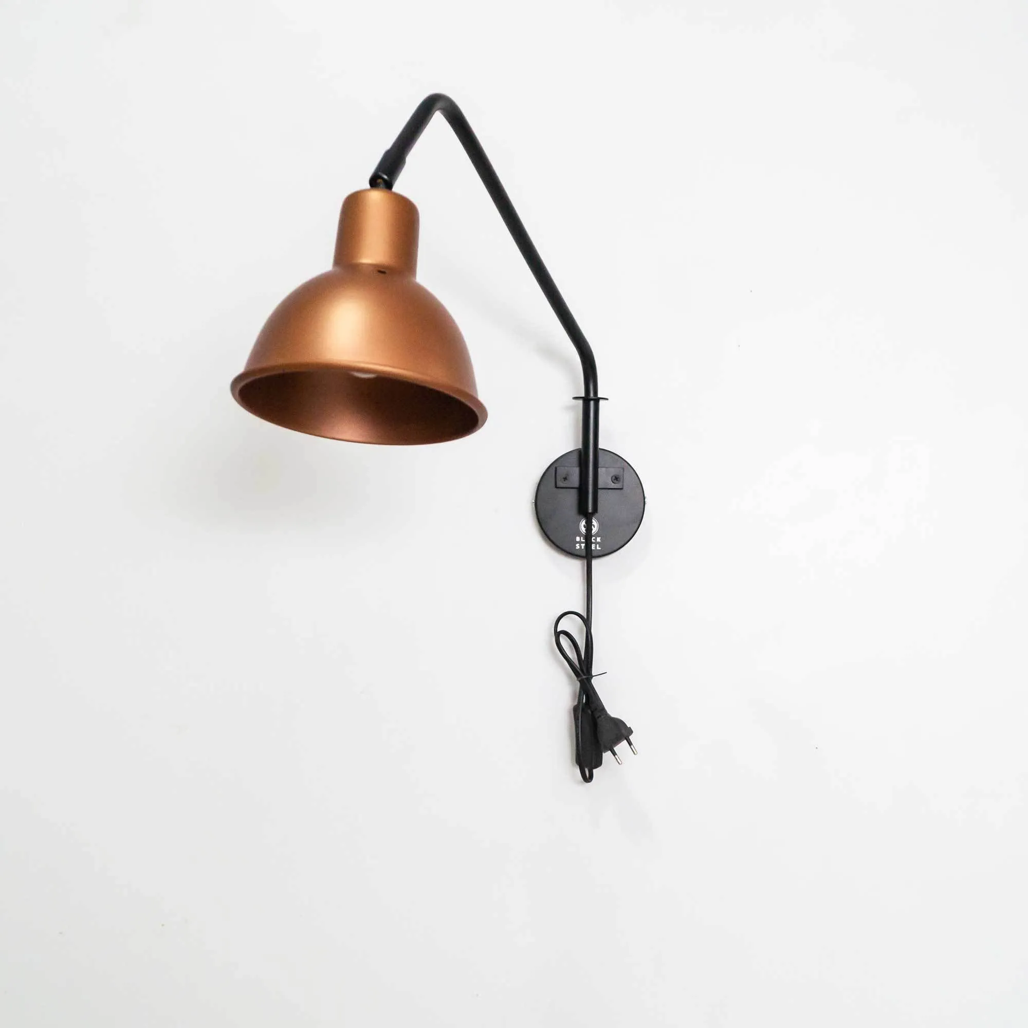 Fsw201 Swivel Arm Wall Mounted Light Fixture