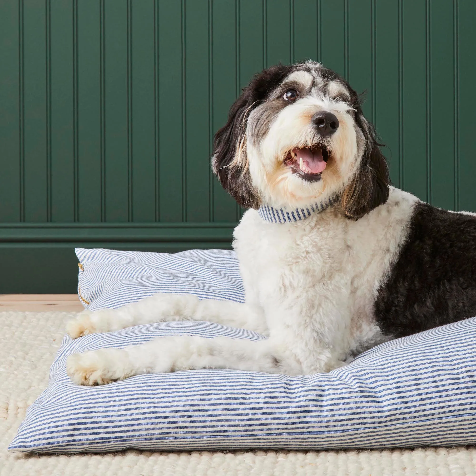 Lake Blue Stripe Dog Bed