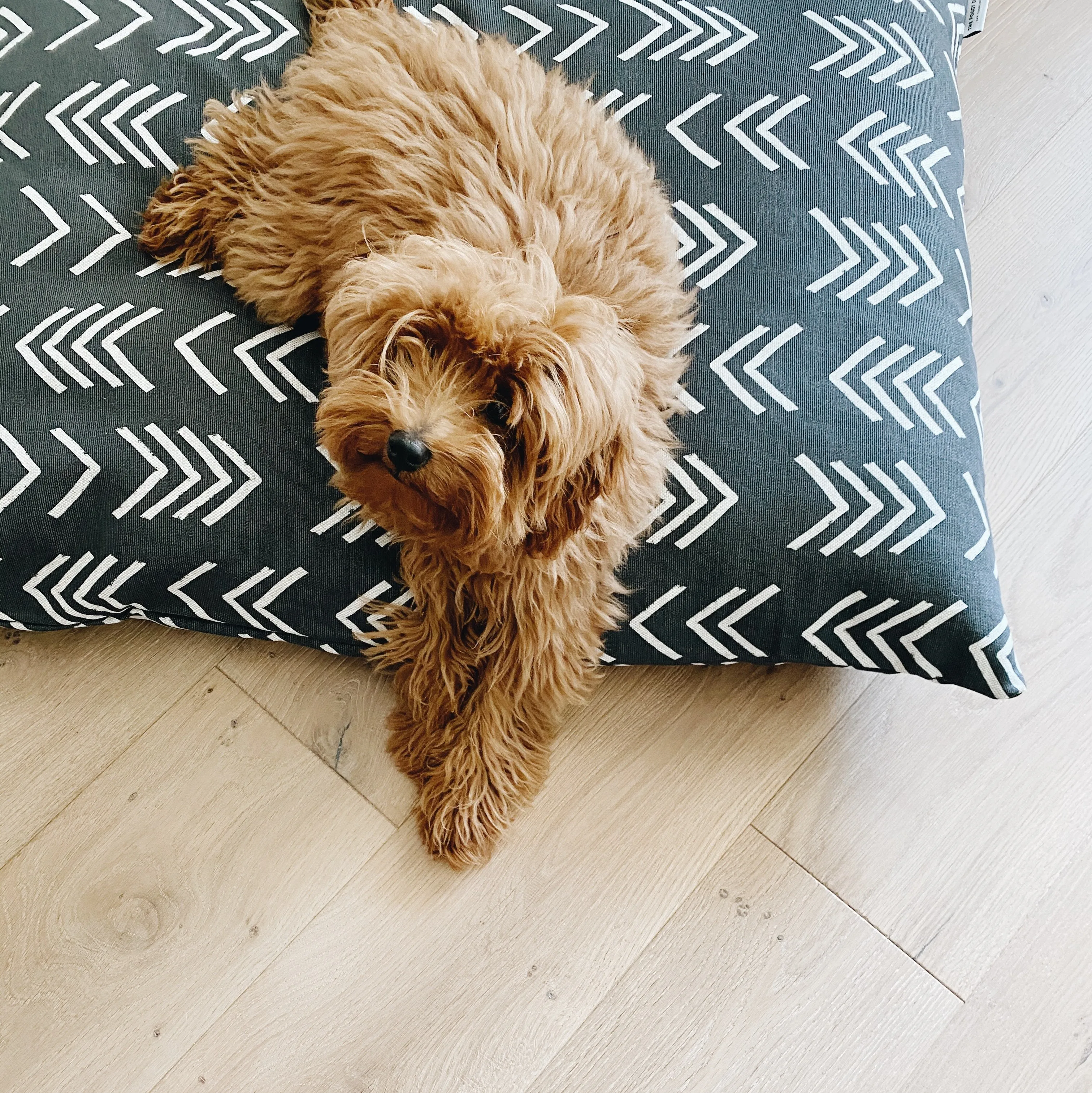 Modern Mud Cloth Black Dog Bed