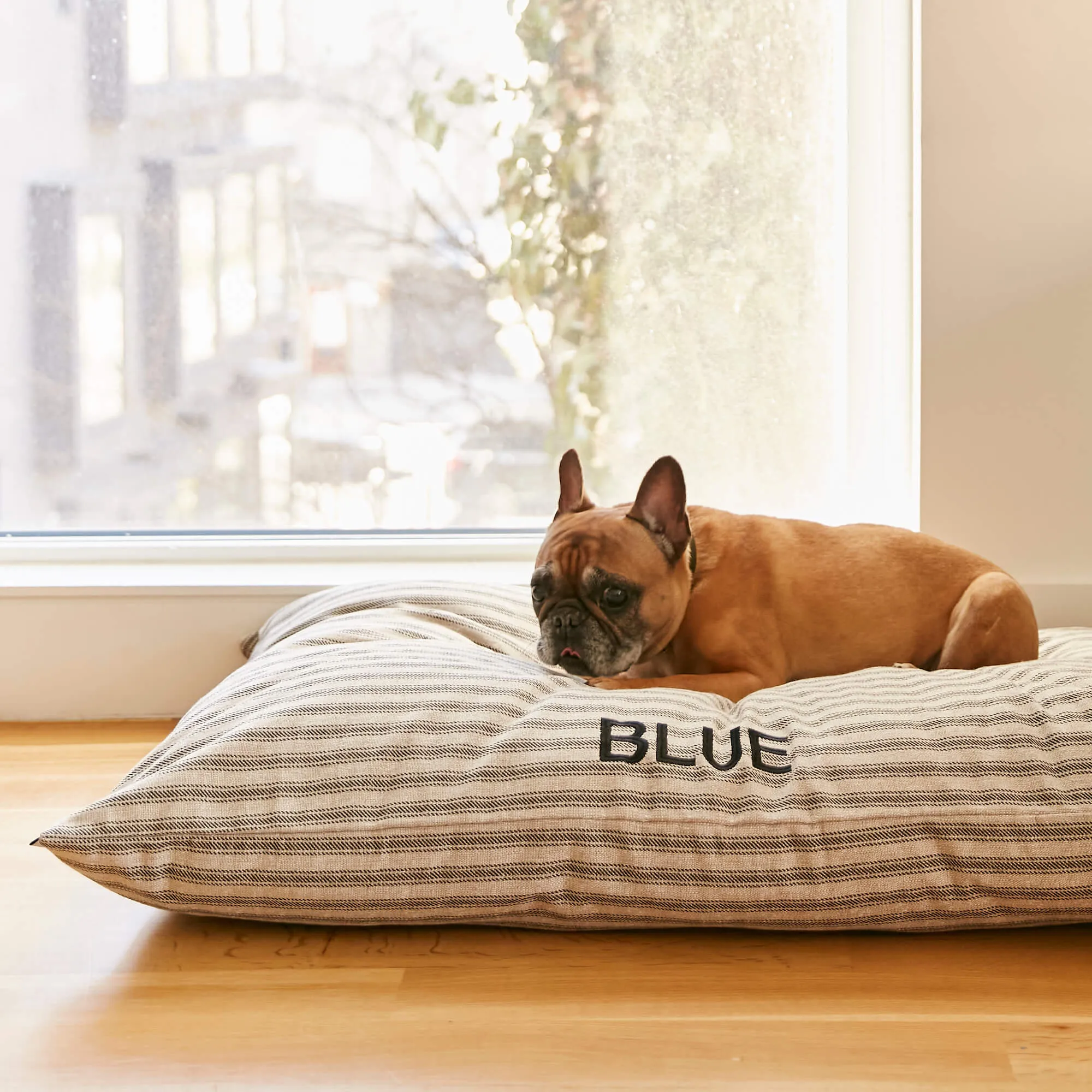 Ticking Stripe Dog Bed