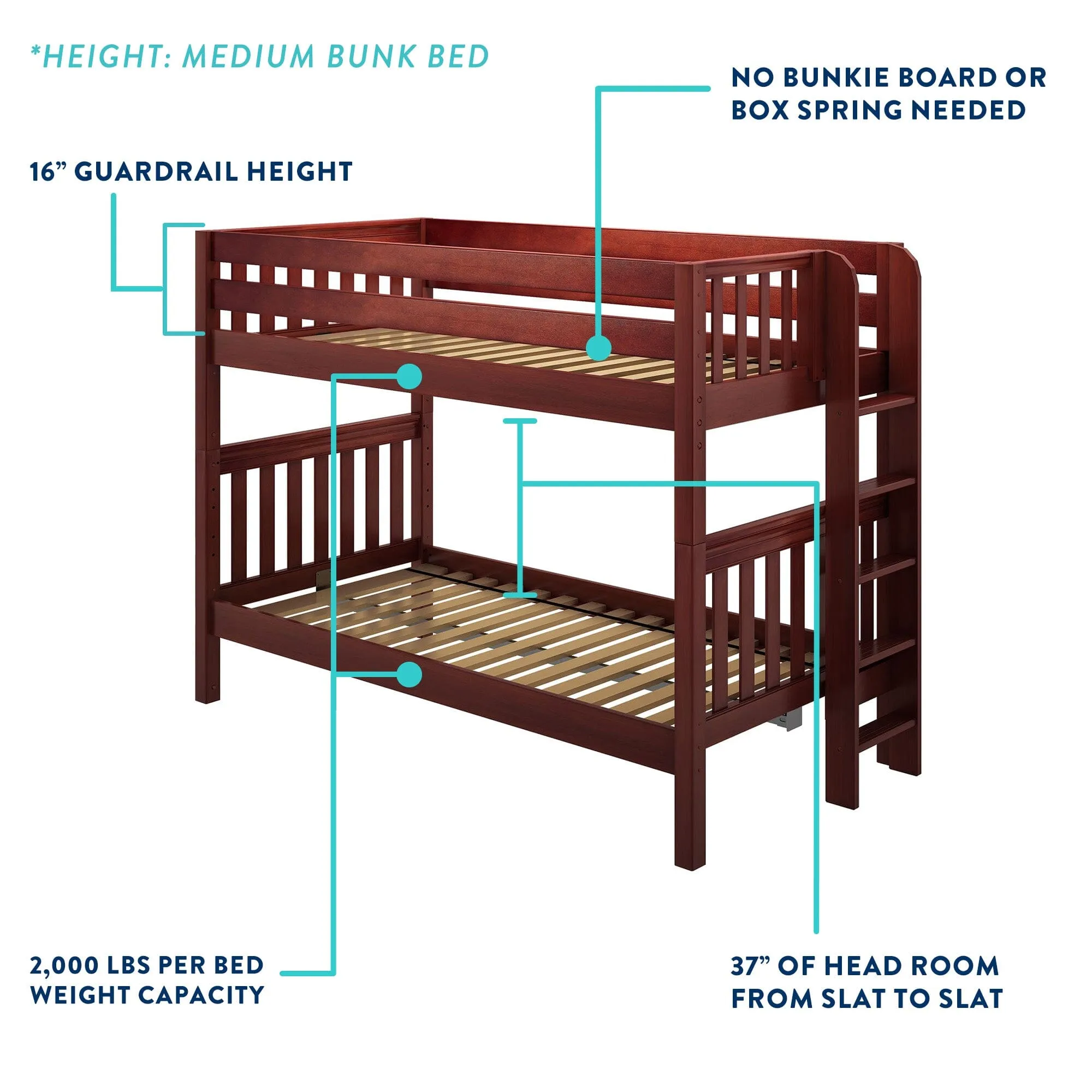 Twin XL Medium Bunk Bed with Ladder