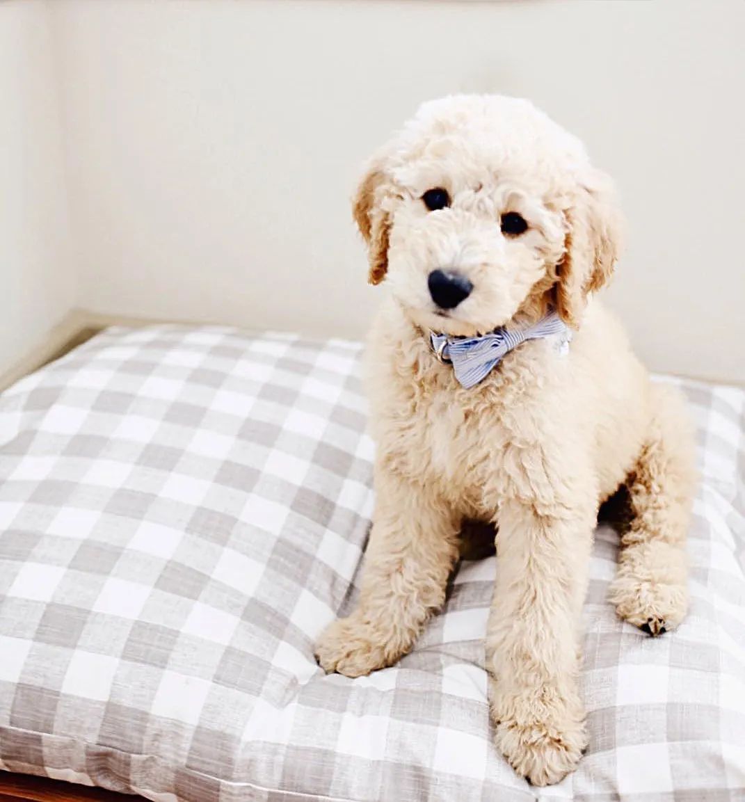 Warm Stone Gingham Check Dog Bed